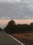2011-12-11 08.19.35.jpg