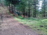 trekutz-lizaiturri (5).jpg