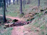trekutz-lizaiturri (9).jpg