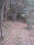 Tudela_diciembre 006.jpg