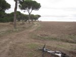 Tudela_diciembre 010.jpg