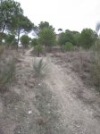 Tudela_diciembre 012.jpg