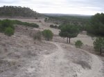 Tudela_diciembre 013.jpg