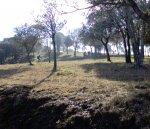 DSC00177.JPG