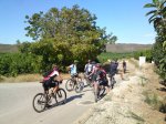 03092011008_800x600.jpg