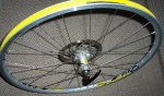 100_0239_bisbis.jpg