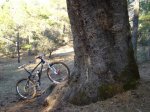 DSC05903.c.jpg