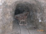 CIMG1296.jpg