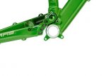froggy11.jpg