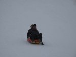 IMG_4782.jpg