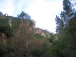 IMG_3529.JPG