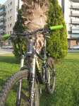 IMG_2542.gif