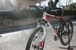 BICI 2.jpg