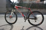 BICI 7.jpg