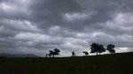 P1040145.JPG
