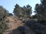 sierra espuña ruton enero  2012 (23).jpg