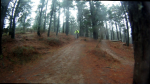 vlcsnap-2012-01-22-20h57m50s5.png