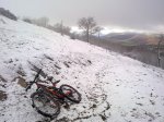 28012012299.jpg
