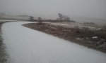2012-02-05 09.55.53.jpg