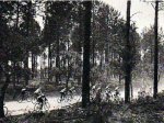 1926 - Tour. 9ª etapa, la tavesía de las Landas +.jpg