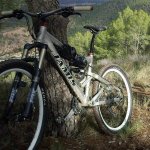 IMG_20111203_123848recortada.JPG