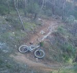 IMG_20120123_123557r.JPG