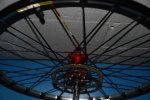 DSC_0234.jpg