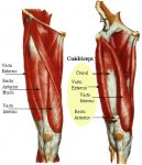 cuadriceps1.jpg