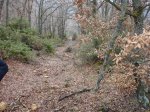 DSC04814_redimensionar.JPG