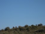 Photo11.JPG