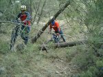 Redimensionamiento de IMAG0143.JPG
