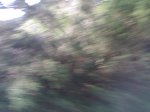 18022007519.jpg