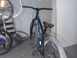 597.jpg
