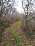 2012-02-22 17.14.51.jpg