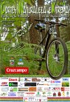 Cartel_CNX2012_web550r.jpg