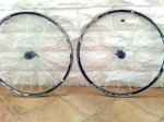 bontrager.jpg
