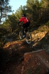 DH SALZADELLA, DOBLE!.jpg