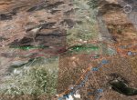 elche-goo'.jpg