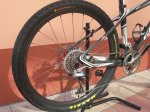 100.JPG