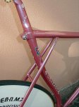 pink_pista_detail_1.jpg