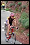 Hector2_476x700.jpg