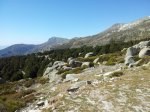20120313_121622.jpg