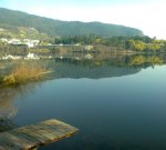 Foto0198.jpg