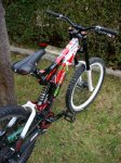 DSC03254 (Copiar).JPG