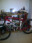 IMG-20120213-00184.jpg