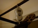 DSC01662.jpg