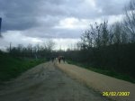 resized_PIC_0030.jpg