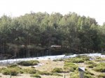 IMG_3529.JPG