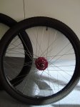 DSC02671_redimensionar.JPG