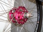 DSC02674_redimensionar.JPG